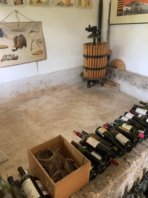 Kefalonia Wine Tour on E-Bikes - Duration and Capacity