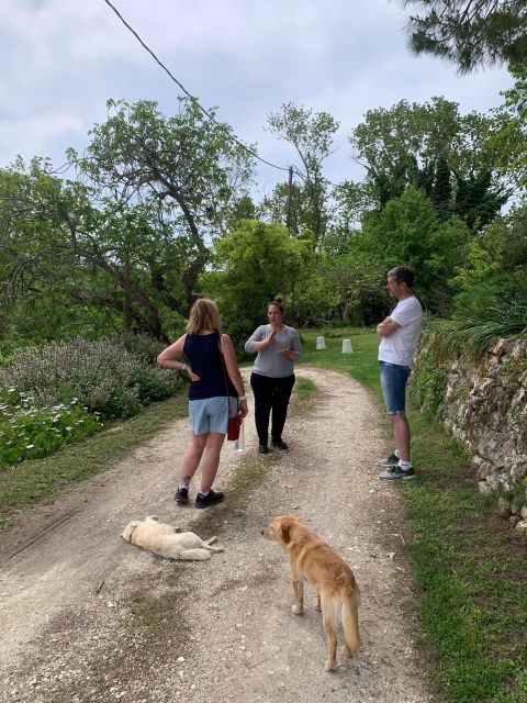 Kefalonia Wine Tour on E-Bikes - Frequently Asked Questions