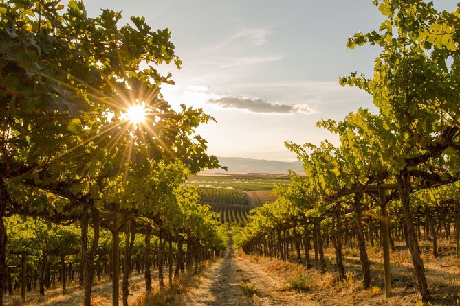 Kelowna Bachelorette Wine Tour Full Day Guided With 5 Wineries - Confirmation and Requirements