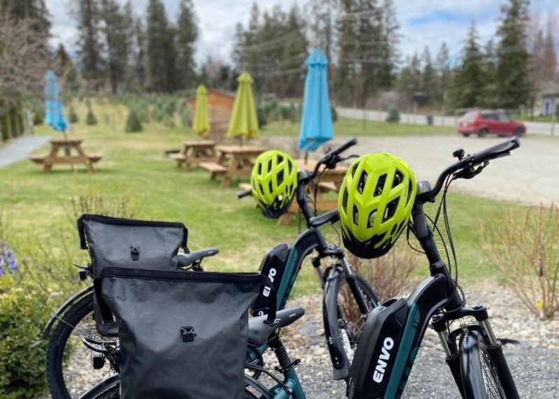 Kelowna: E-Bike Bee Tour W/ Tastings, Lunch, and Audioguide - Accessibility Considerations