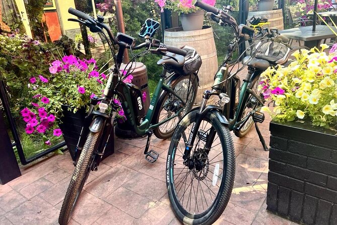 Kelowna E-Bike Bee Tour With Tastings, Lunch & Audio Guide - Honey Wine and Honey Tasting