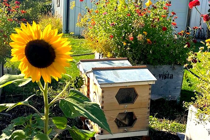 Kelowna E-Bike Bee Tour With Tastings, Lunch & Audio Guide - Farm-to-Table Lunch Experience