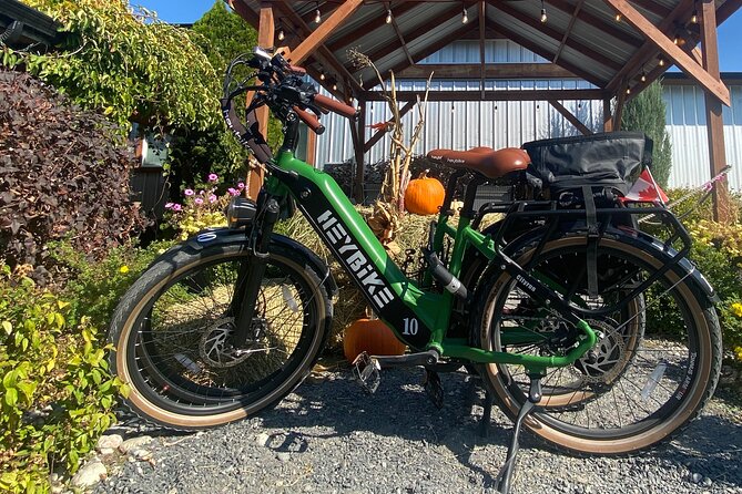 Kelowna E-Bike Bee Tour With Tastings, Lunch & Audio Guide - Tour Duration and Itinerary