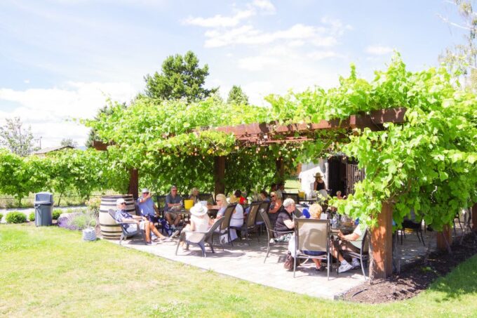 Kelowna: E-Bike Guided Wine Tour With Lunch & Tastings - Customer Reviews