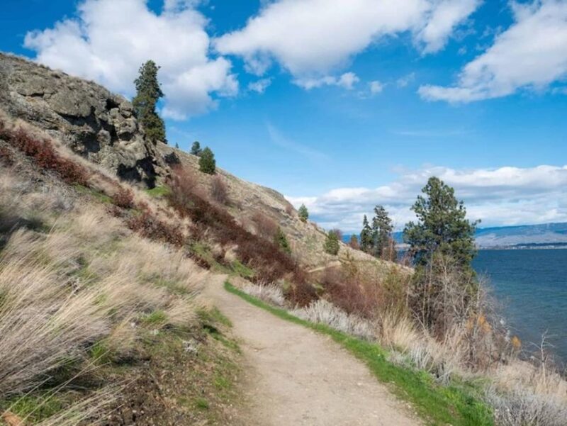 Kelowna: Guided Hiking Tour - Highlights and Features