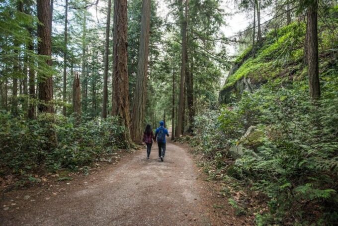 Kelowna: Guided Hiking Tour - Frequently Asked Questions