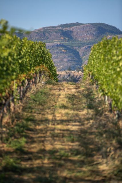 Kelowna: Lake Country Half Day Guided Wine Tour - Itinerary and Locations