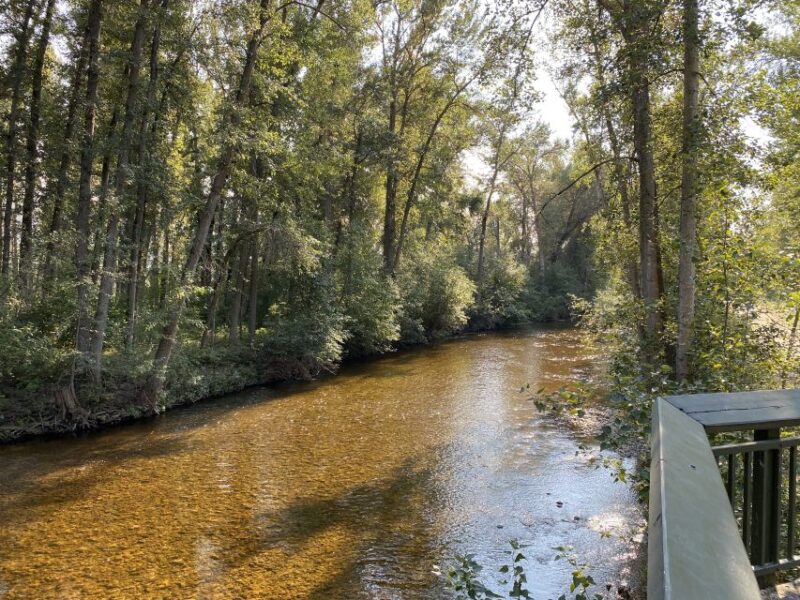 Kelowna: Mission Creek Salmon Run Audio Tour by E-Bike - Key Points