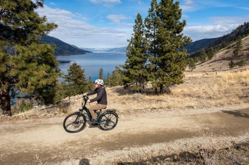 Kelowna: Okanagan Lake Guided E-Bike Tour With Picnic - Customer Reviews and Feedback