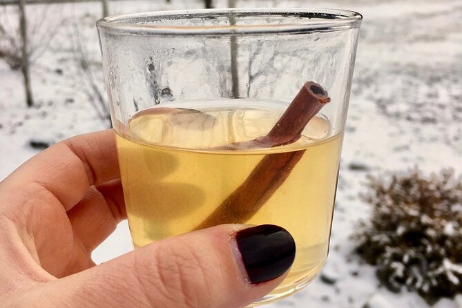 Kelowna Snow E-Biking Adventure With Lunch, Wine Tasting & Smores - Warming up With Spiced Mulled Honey Wine