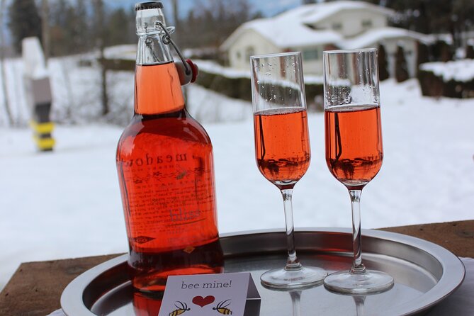 Kelowna Snow E-Biking Adventure With Lunch, Wine Tasting & Smores - Roasting Marshmallows for Specialty Smores