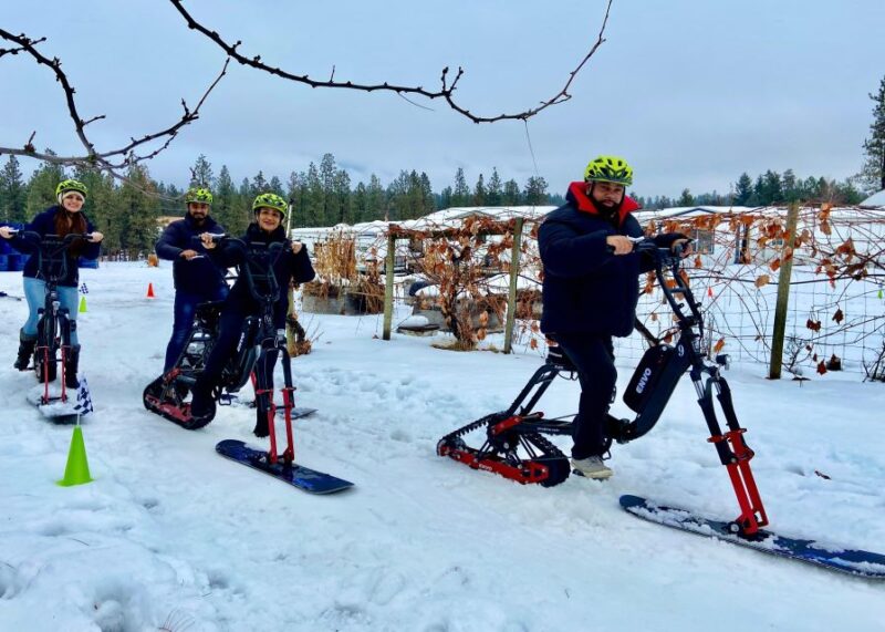 Kelowna: Snow E-Biking With Lunch, Wine Tastings & Smores - Key Points