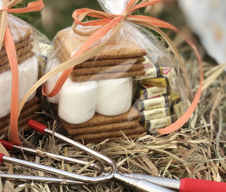 Kelowna: Snow E-Biking With Lunch, Wine Tastings & Smores - Culinary Highlights & Tastings