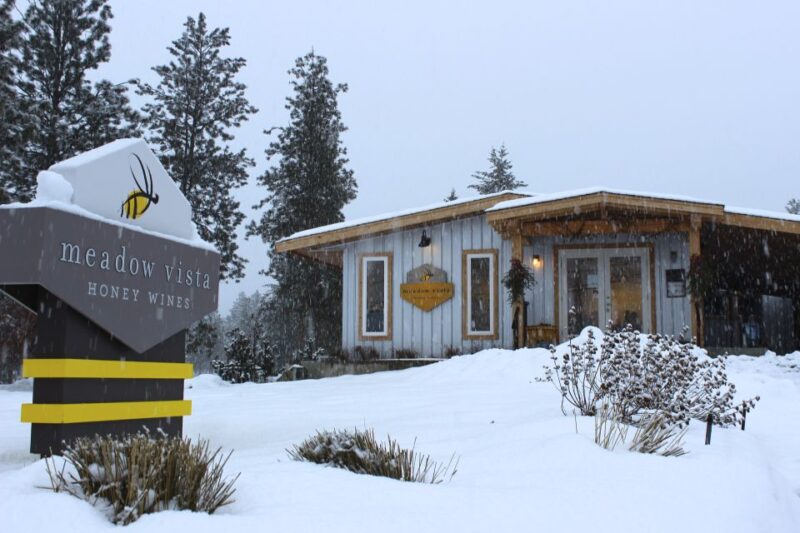 Kelowna: Snow E-Biking With Lunch, Wine Tastings & Smores - Safety Considerations & Suitability