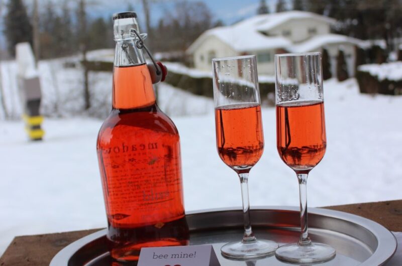 Kelowna: Snow E-Biking With Lunch, Wine Tastings & Smores - What to Expect on the Trail