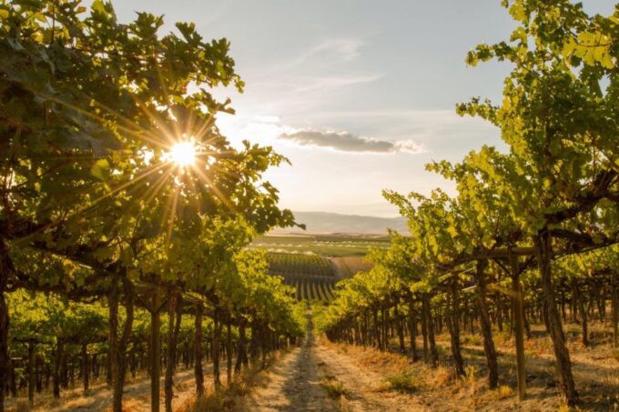 Kelowna: Sunset Sip Wine Tour - Indulge in Scenic Lake Views