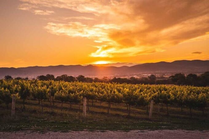 Kelowna: Sunset Sip Wine Tour - Frequently Asked Questions