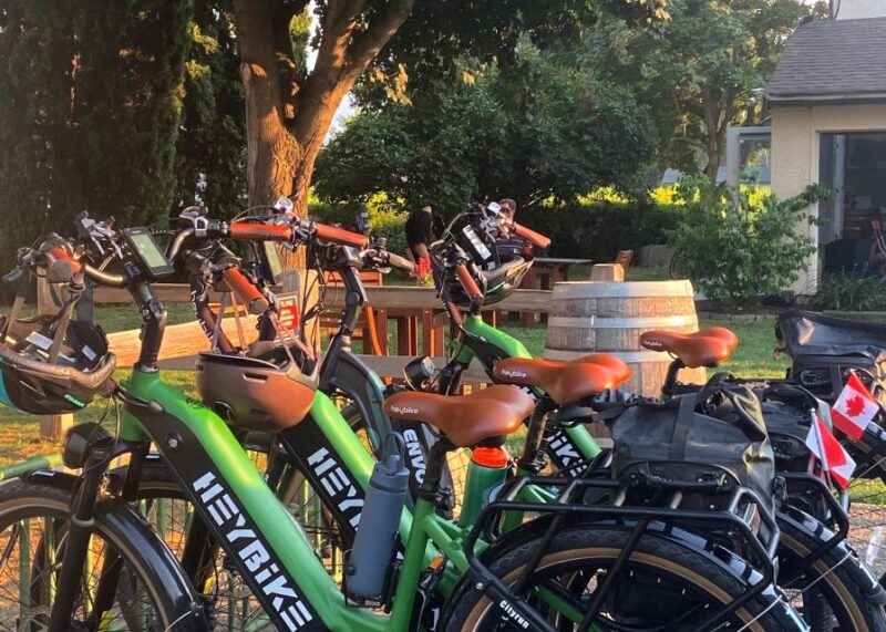 Kelowna: Wine Tasting by E-bike, Smartphone Guide & Lunch - Included Amenities and Requirements