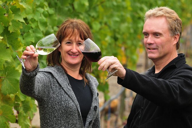 Kelowna Wine Tour on an E-Bike With Lunch - Exploration of Wineries and Mead