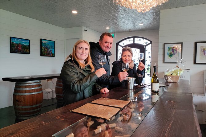 Kelowna Wine Tour on an E-Bike With Lunch - Specifications of the E-Bikes