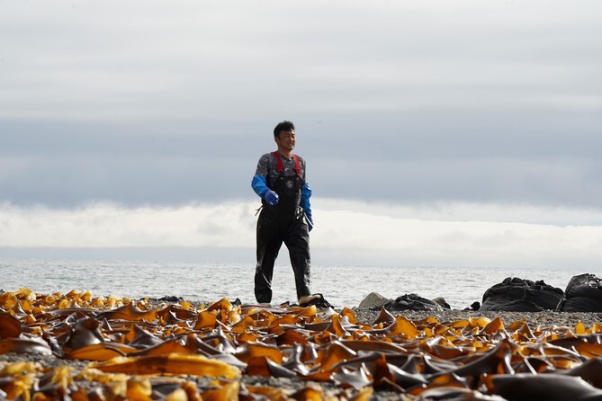 Kelp Fisheries Experience, Traditional Japanese Food Culture - Experiencing Traditional Seafood Preparation