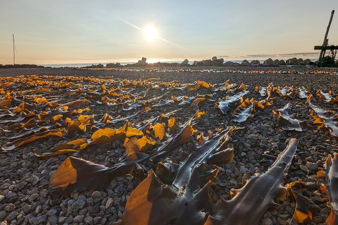 Kelp Fisheries Experience, Traditional Japanese Food Culture - Accessibility and Health Considerations