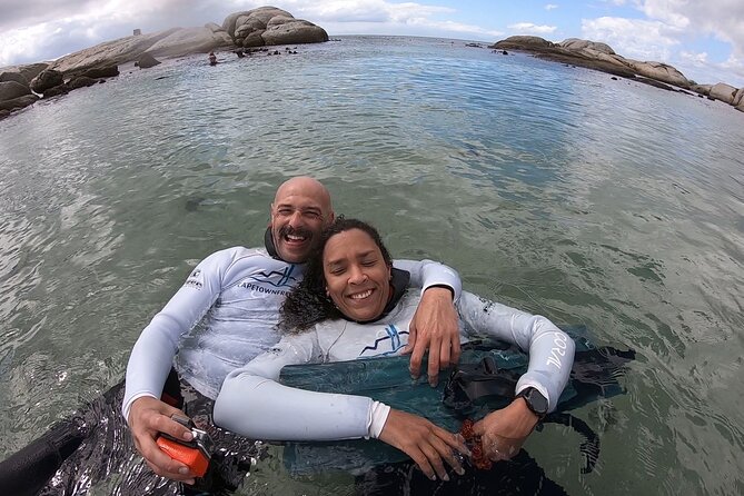 Kelp Forest Snorkeling in Cape Town - Meeting and Pickup
