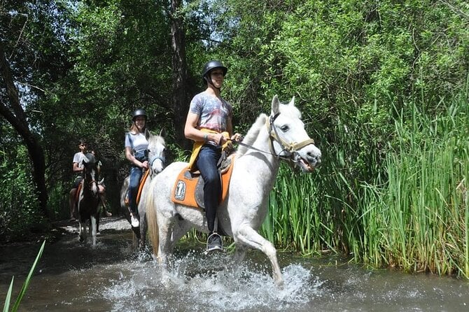 Kemer Horse Safari Experience With Free Hotel Transfer - Health Considerations