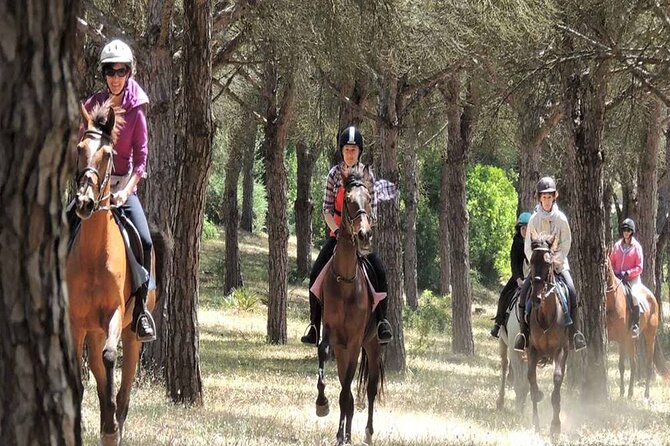 Kemer Horse Safari Experience With Free Hotel Transfer - Safety Guidelines