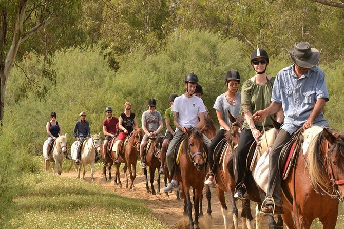 Kemer Horse Safari Experience With Free Hotel Transfer - Group Size and Duration