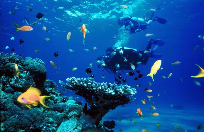 Kemer Scuba Diving With Expert Diving Option - Customer Feedback and Ratings