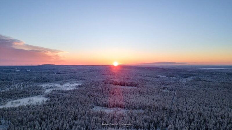 Kemi: Sleddog Husky Safari Incl. Hot Drink - Customer Ratings
