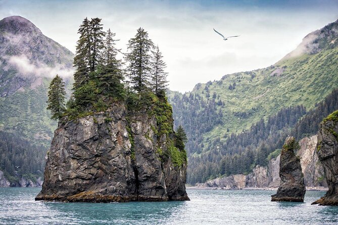 Kenai Fjords National Park Cruise From Seward - Just The Basics