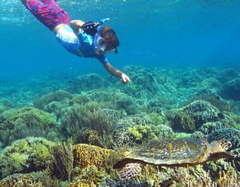 Kenawa Island One Day Tour Package (Start Lombok) - Itinerary Highlights