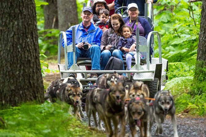 Kennel Tour and Dog Sled Ride - The Iditarod Trail Race