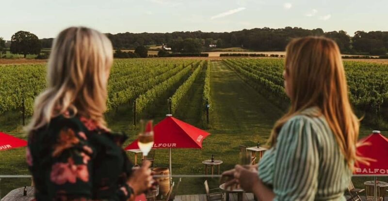 Kent: Balfour Vineyard Walk and Wine Tasting - Tasting Details