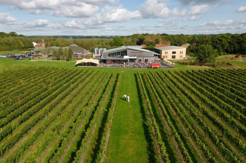 Kent: Balfour Vineyard Walk and Wine Tasting - Meeting Point and Parking