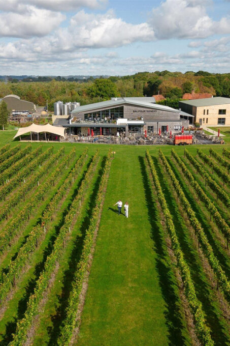 Kent: Balfour Vineyard Walk and Wine Tasting - Cancellation Policy
