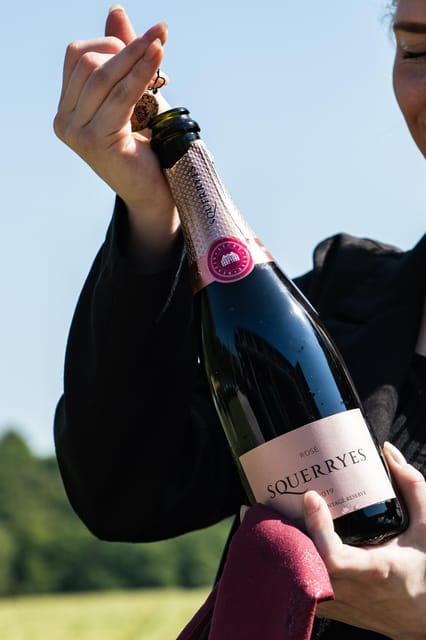 Kent: Squerryes Wine Tour and Tasting - Tour Highlights