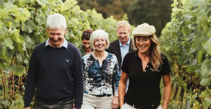 Kent: Squerryes Wine Tour and Tasting - Tour Details