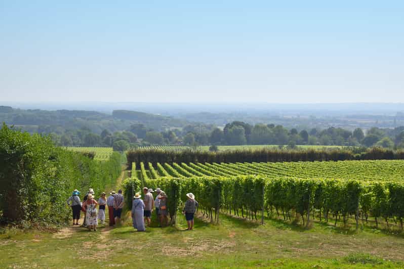 Kent: Yotes Court Vineyard Tour and Tasting - Tour Details