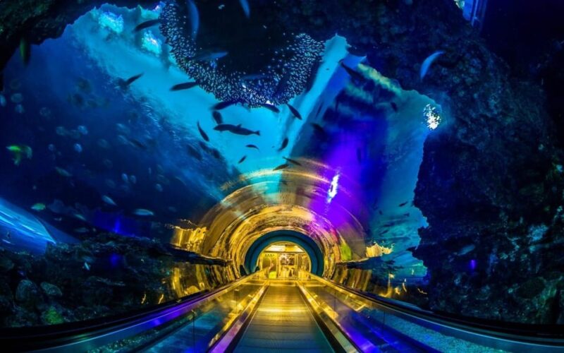 Kenting: National Museum of Marine Biology & Aquarium - Key Points