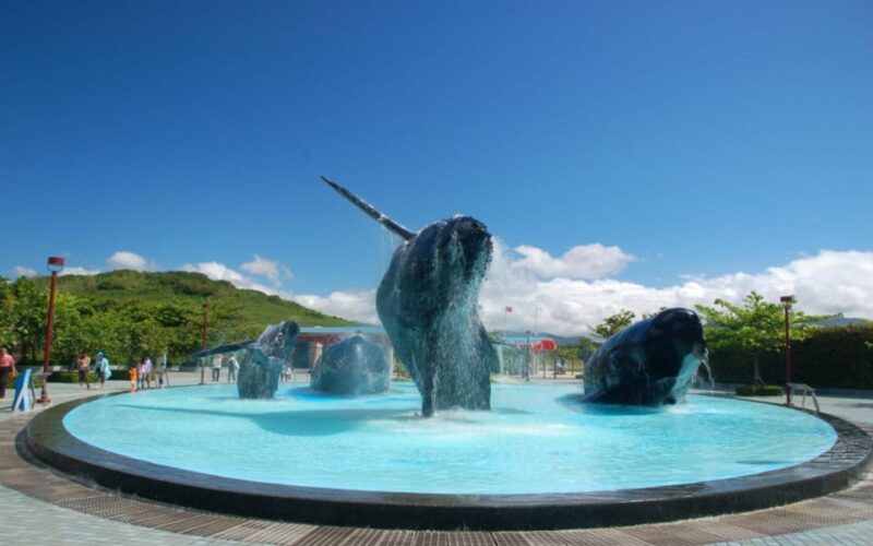 Kenting: National Museum of Marine Biology & Aquarium - Interactive Touch Pool Encounters