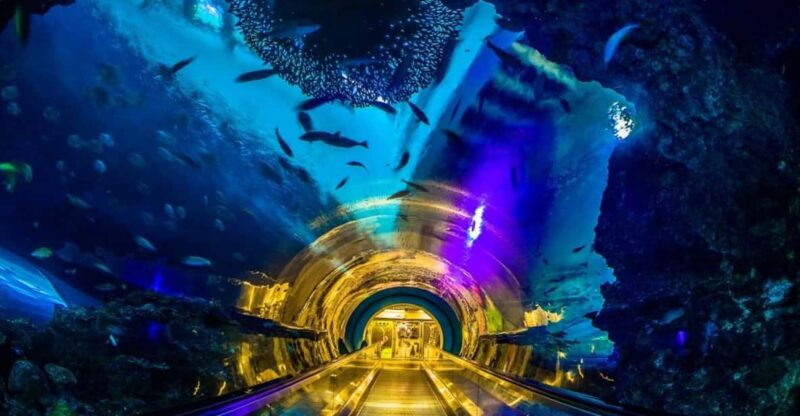 Kenting: National Museum of Marine Biology & Aquarium - Exploring the Largest Ocean Tank