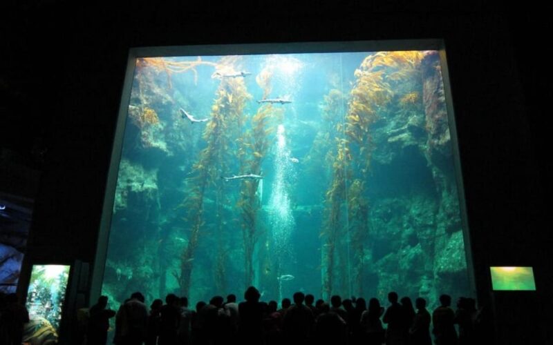 Kenting: National Museum of Marine Biology & Aquarium - Educational Feeding Shows and Tours