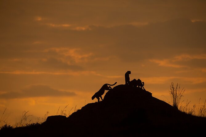 Kenya Safari: Amboseli, Lake Naivasha & Masai Mara - Additional Information