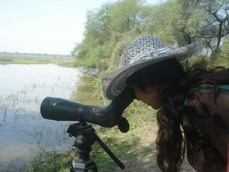 Keoladeo National Park Tickets and Guided Tour - An Overview of Keoladeo National Park