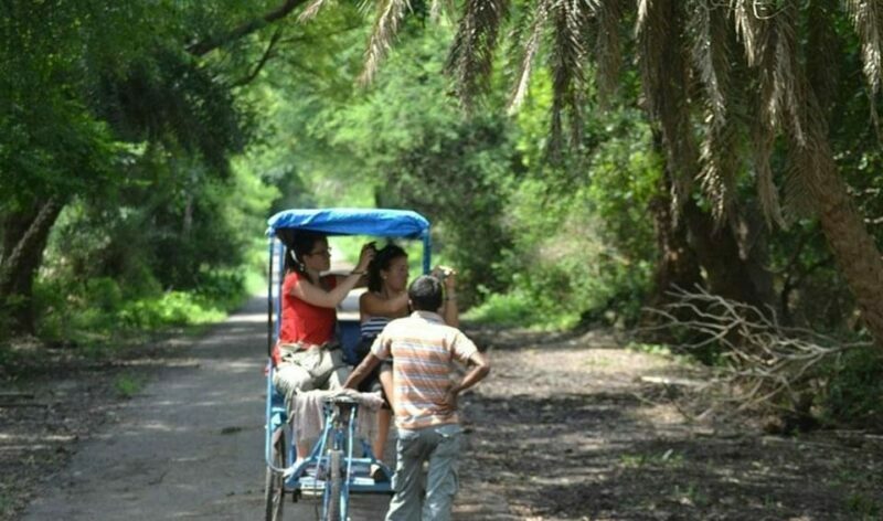Keoladeo National Park Tickets and Guided Tour - Final Thoughts