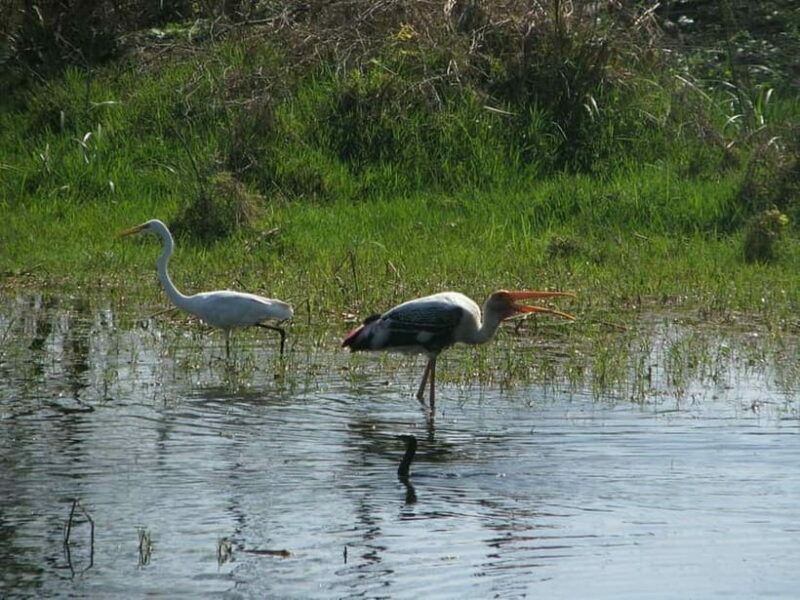 Keoladeo National Park Tickets and Guided Tour - Frequently Asked Questions