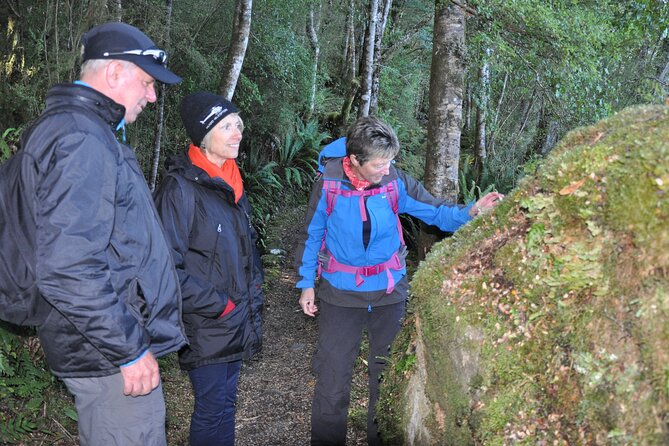 Kepler Track Boat and Hike - Health and Safety Guidelines